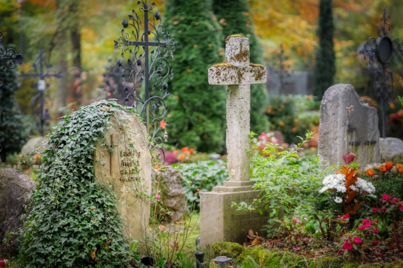 funeraire-RAYOL CANADEL SUR MER-min_cemetery-4653166